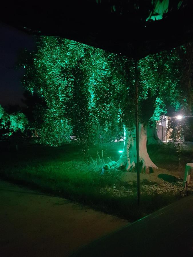 Villa Rona Skála Kallirákhis 外观 照片